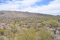 056_Arizona_Tucson_Saguaro_NP03