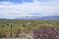 063_Arizona_Tucson_Saguaro_NP10