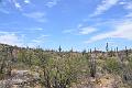 073_Arizona_Tucson_Saguaro_NP20