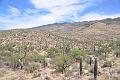 074_Arizona_Tucson_Saguaro_NP21