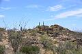 076_Arizona_Tucson_Saguaro_NP23