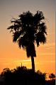 078_Arizona_Tucson_Sunset