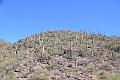 079_Arizona_Tucson_Saguaro_NP01