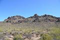 088_Arizona_Tucson_Saguaro_NP10