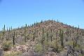 096_Arizona_Tucson_Saguaro_NP18