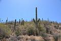 102_Arizona_Tucson_Saguaro_NP24