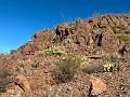 457_USA_Texas_Franklin_Mountains_State_Park